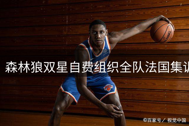 森林狼双星自费组织全队法国集训 爱德华兹&三球承担费用